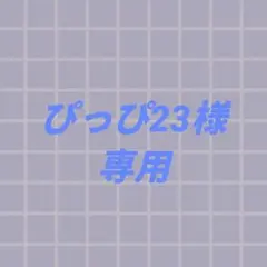 ぴっぴ23様専用