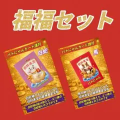 ♾️luckystrlke10♾️様 リクエスト 2点 まとめ商品