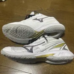 MIZUNO ウェーブファングプロ3 24㎝のサムネイル