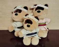 ぬいぐるみたぬき３点セット