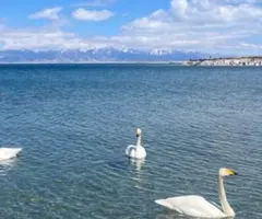 ブライダルインナーブライダルブルーム【専用ページ】