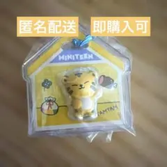 SEVENTEEN ミニティーン タムタム ホシ - メルカリ