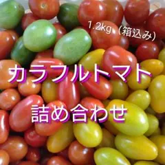 ミニトマト詰め合わせ1.2kg（箱込み）のサムネイル