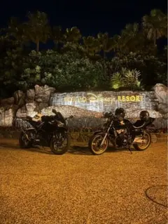 cbr250rr ニダボのサムネイル