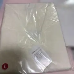 Item thumbnail for item 2d0ec228-bee9-4a66-a9c3-f0beba6820ee