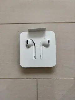 Apple EarPods with Lightning Connector