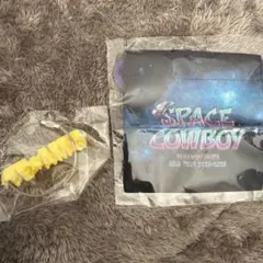 岩田剛典SPACECOWBOY ガチャ ミニ巾着＆TEAM Gラバーキーホルダー