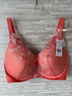 E80」トリンプ 夢みるブラ DeepV フレーバーウォーター ブラジャー