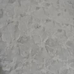 韓国ベルボア