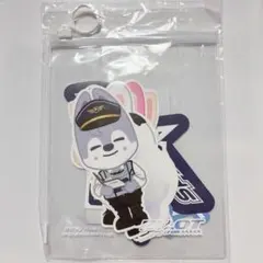 Stray Kids スキズ ステッカー skzoo ペンミ パイロット