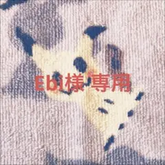 創世竜 ゴルギーネクスト シークレット 4枚