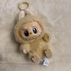 【POP MART】正規品　ラブブ 透明ケース付き