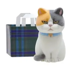 紙袋に入った猫 フロッキー ❁︎ 三毛