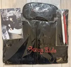 straykids スキズ dominATE ヨーロッパツアー VIP特典