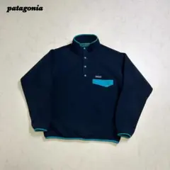 【美品】好配色 パタゴニア シンチラ スナップt M 田中シェン FA16