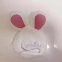 Item thumbnail for item 4423b628-f454-42a9-a166-117cfd776019