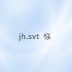 jh.svt 土日祝発送不可様　リクエスト
