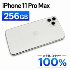 新品液晶バッテリー】iPhone11Pro シルバー 512GB SIMフリー - メルカリ