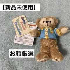 【新品】ダッフィー ぬいぐるみバッジ Wonderful Friendship