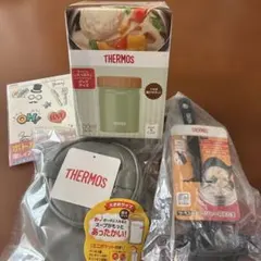 THERMOS スープジャー 500ml JBT-501