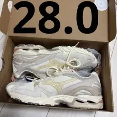 mizuno WAVE RIDER 10 28.0