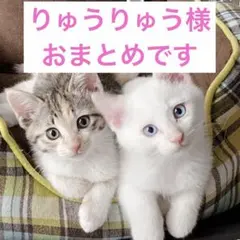 りゅうりゅう様 リクエスト 2点 まとめ商品