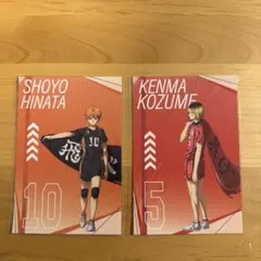 ハイキュー　プラザ　ロフト　購入特典　烏野　音駒　日向翔陽　孤爪研磨