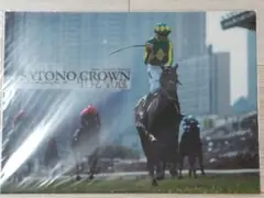 Item thumbnail for item 6a179d24-1737-418e-b130-fc687853ccbd