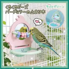 鳥用品 止まり木 カクタス スケルトン パーチ 小さめ No.227 - メルカリ