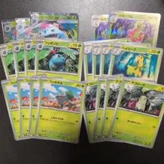 メガフシギバナEX　RR　進化ライン