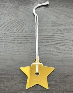 ディオール　星型チャーム
