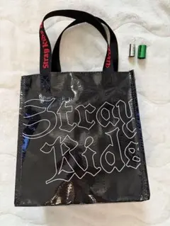 2025年最新】straykids dominate アプグレ 特典の人気アイテム
