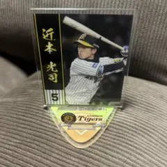 Item thumbnail for item 301c971a-9c91-4fce-befa-ea60c44d3e1f