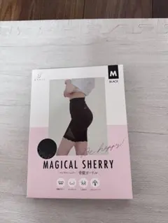 Item thumbnail for item 529f01b6-9022-469e-a785-3e06d9816242