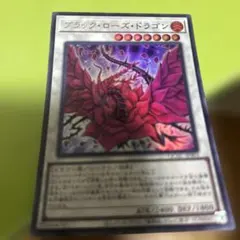 遊戯王 黒薔薇の破滅竜 ウルトラ ブランブルローズドラゴン - メルカリ