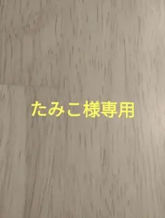 こちらはたみこ様専用ページです。