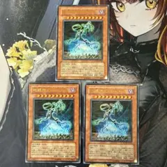 遊戯王 Ccarayhua ウルトラ SOVR 3枚