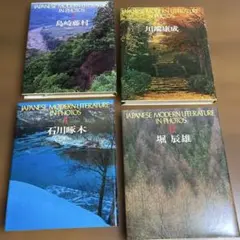 Item thumbnail for item 36cec825-b5c6-401b-8b6d-330e9f365a14