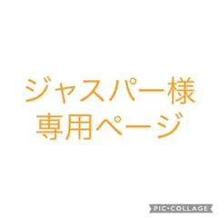 ジャスパー様 リクエスト 2点 まとめ商品