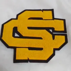 レタード ワッペン シニール デッドストック vtg スタジャンに