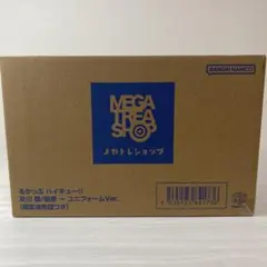 ハイキュー るかっぷ ユニフォームver. 及川徹 岩泉一 特典 限定座布団つき