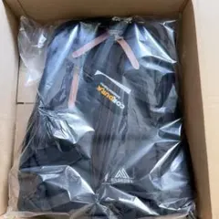 Item thumbnail for item b169b5cd-1f5d-41d2-a3cd-1998346c0c43