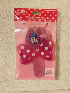 ディズニー　ミニー　パルパルーザ　ミニーファンダーランド