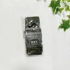 Item thumbnail for item 4f097862-c94a-4353-84ea-62e5b78ccf26