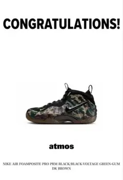 NIKE AIR FOAMPOSITE PRO PRM 29cm
