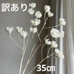 Bro& Ac様 リクエスト 2点 まとめ商品