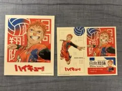 ハイキュー‼︎フォトカード&ステッカー　日向翔陽