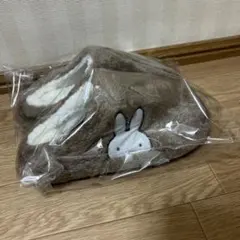 Item thumbnail for item 9029b6a7-51dd-4dd0-8ad2-fcfb7da63b4a