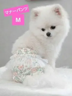 Item thumbnail for item 9a2aef49-4801-4f8d-a982-3cfe8d35bf9c