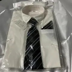 Item thumbnail for item 5a56d4e9-07e5-4c01-b868-726e9e0934ce